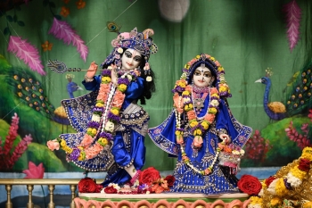 11 March 2025