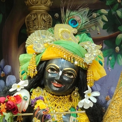 15 April 2026