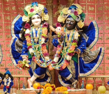 602946912_1263448222480474_7517159433032448671_n