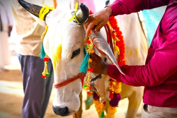 Sri Govardhan Puja 2025