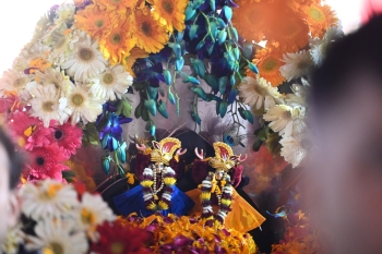 Sri Nityananda Trayodashi 2026