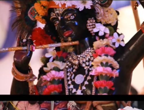 Govardhan Puja celebrations at ISKCON Punjabi Bagh.