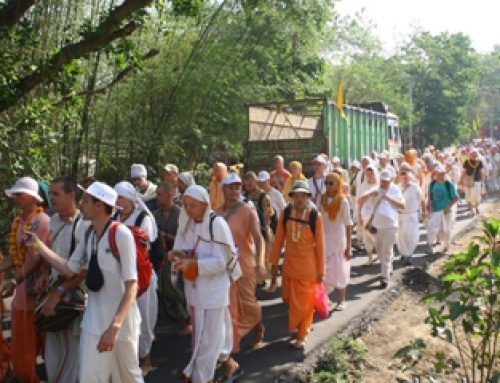 Devotees Participate in Navadvipa Mandala Parikrama at Mayapur Dham