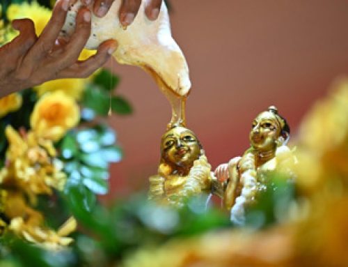 Balarama Purnima Celebrated with Grandeur at ISKCON Punjabi Bagh