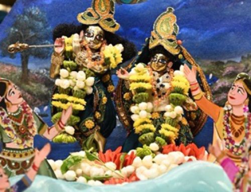 IGF Devotees Prepare Special Offerings for Balarama Jayanti